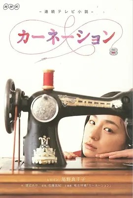 康乃馨 カーネーション (2011)丨9.2分 在线观看云盘资源