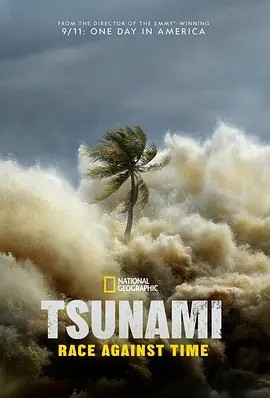 海啸：与时间赛跑 Tsunami: Race Against Time (2024) 在线观看云盘资源