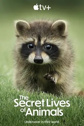 动物的秘密生活 The Secret Lives of Animals (2024) 在线观看云盘资源