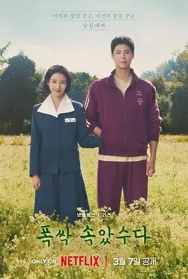 【韩剧】 苦尽柑来遇见你 폭싹 속았수다 (2025)丨主演: IU李知恩 / 朴宝剑 在线观看云盘资源