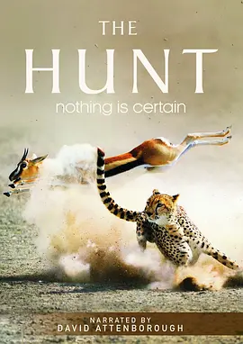 纪录片丨猎捕 The Hunt (2015)丨9.7分 在线观看云盘资源