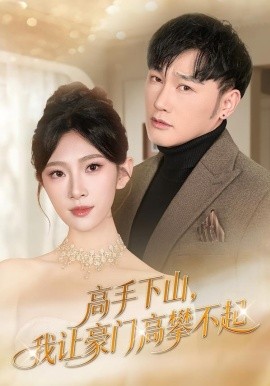 高手下山我让豪门高攀不起